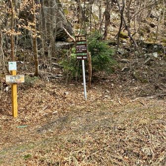ふくべの森からのもう一つの登山口