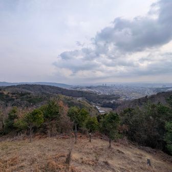 左側🫲に、中腹展望台から三好山山頂を見下す。