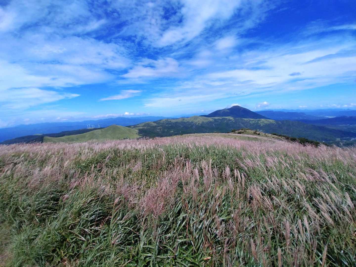 ススキの黄金の海に、涌蓋山、青空。
この山の魅力。