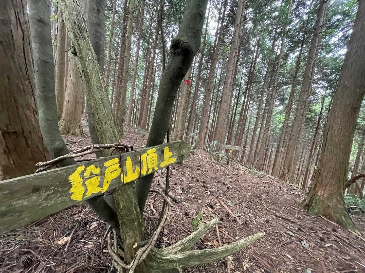 今日は病み上がりだったけど
体力は大丈夫そう👍

でも
鼻水が詰まって息苦しいってね🤣