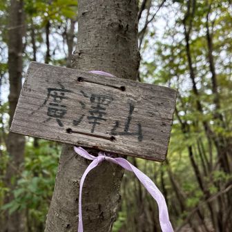 山頂到着
展望なし
