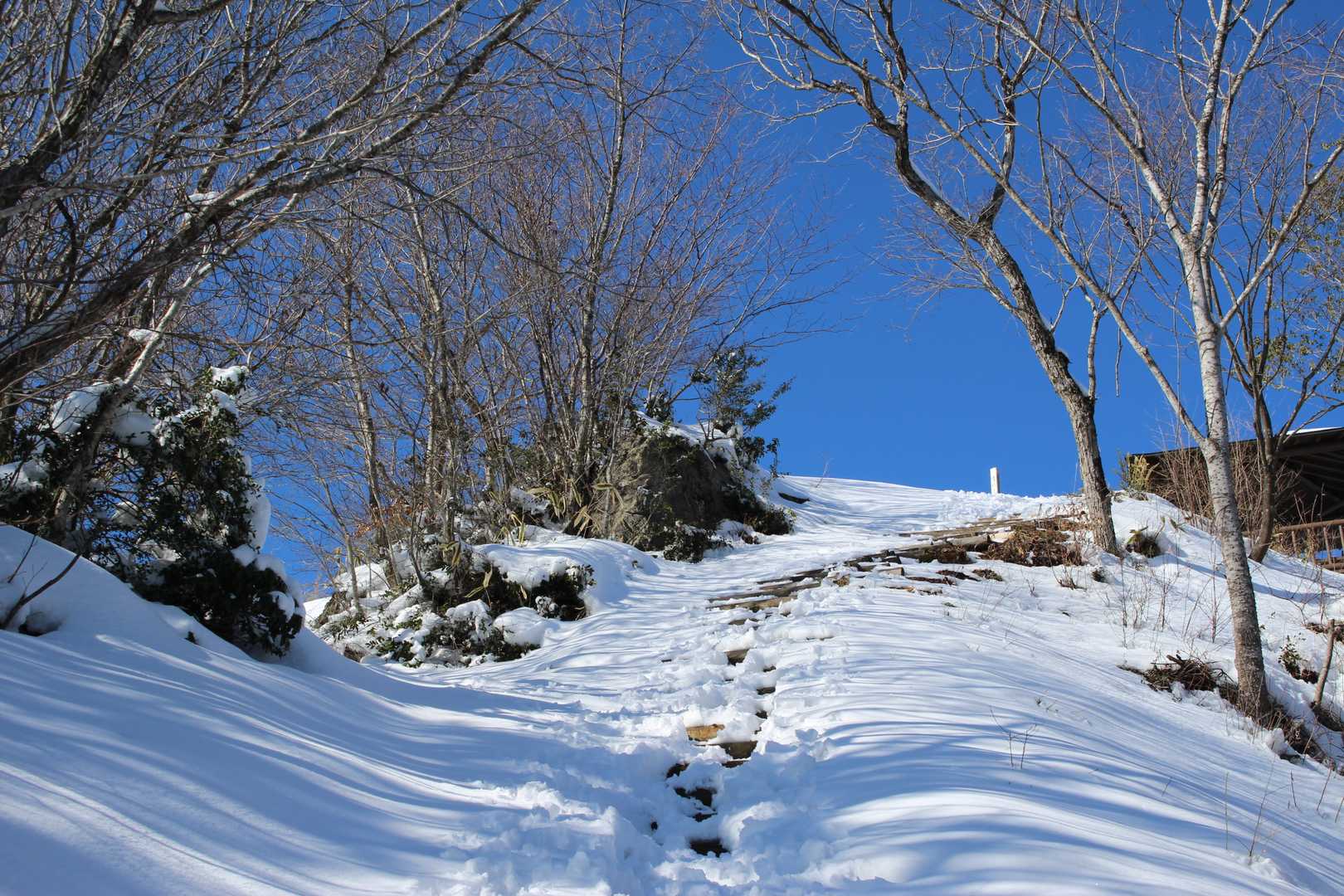 山頂まであと少し
青空がきれい。