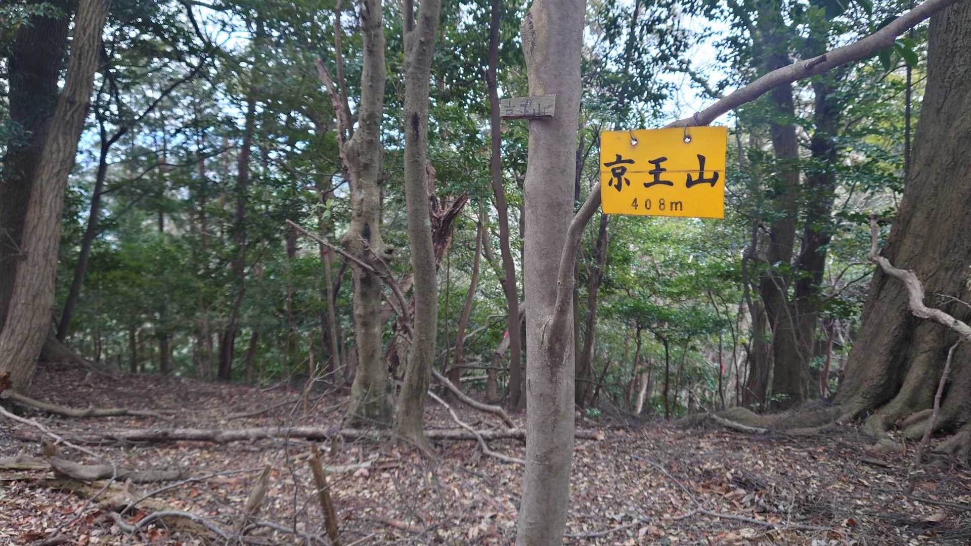④座目、京王山