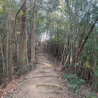 ジャンダルムどんな感じなんだろう