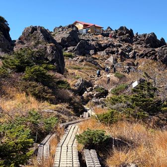 尾根沿いの木道