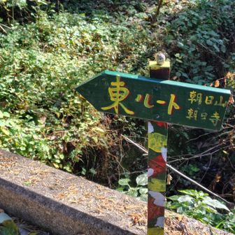 東ルートを降りて来た
