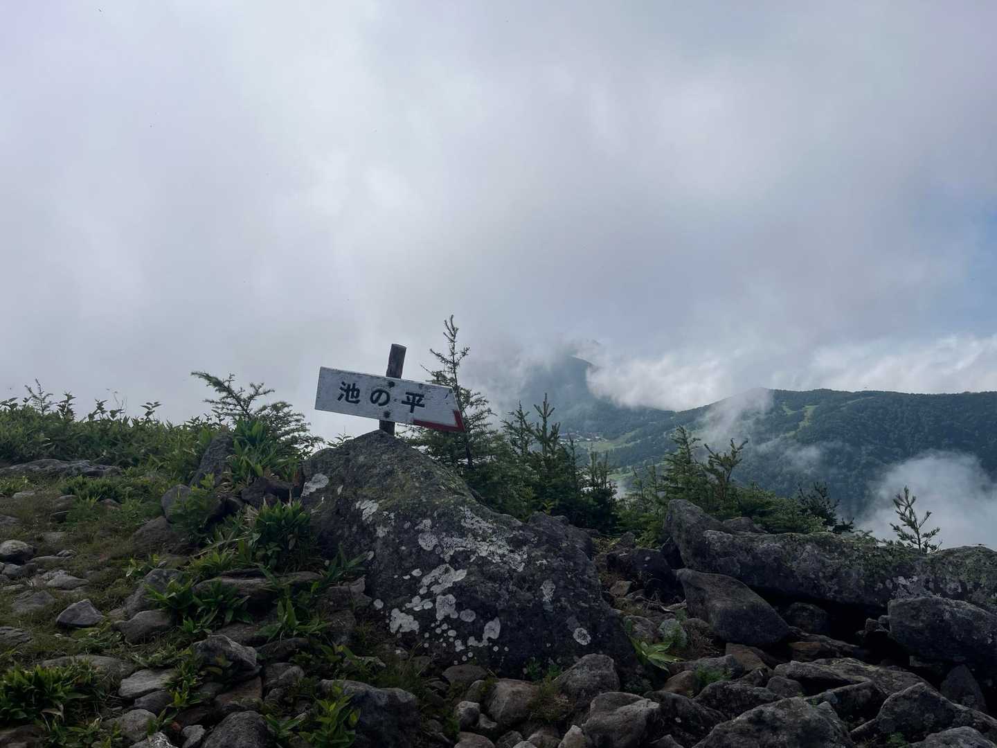 あいにくの☁️