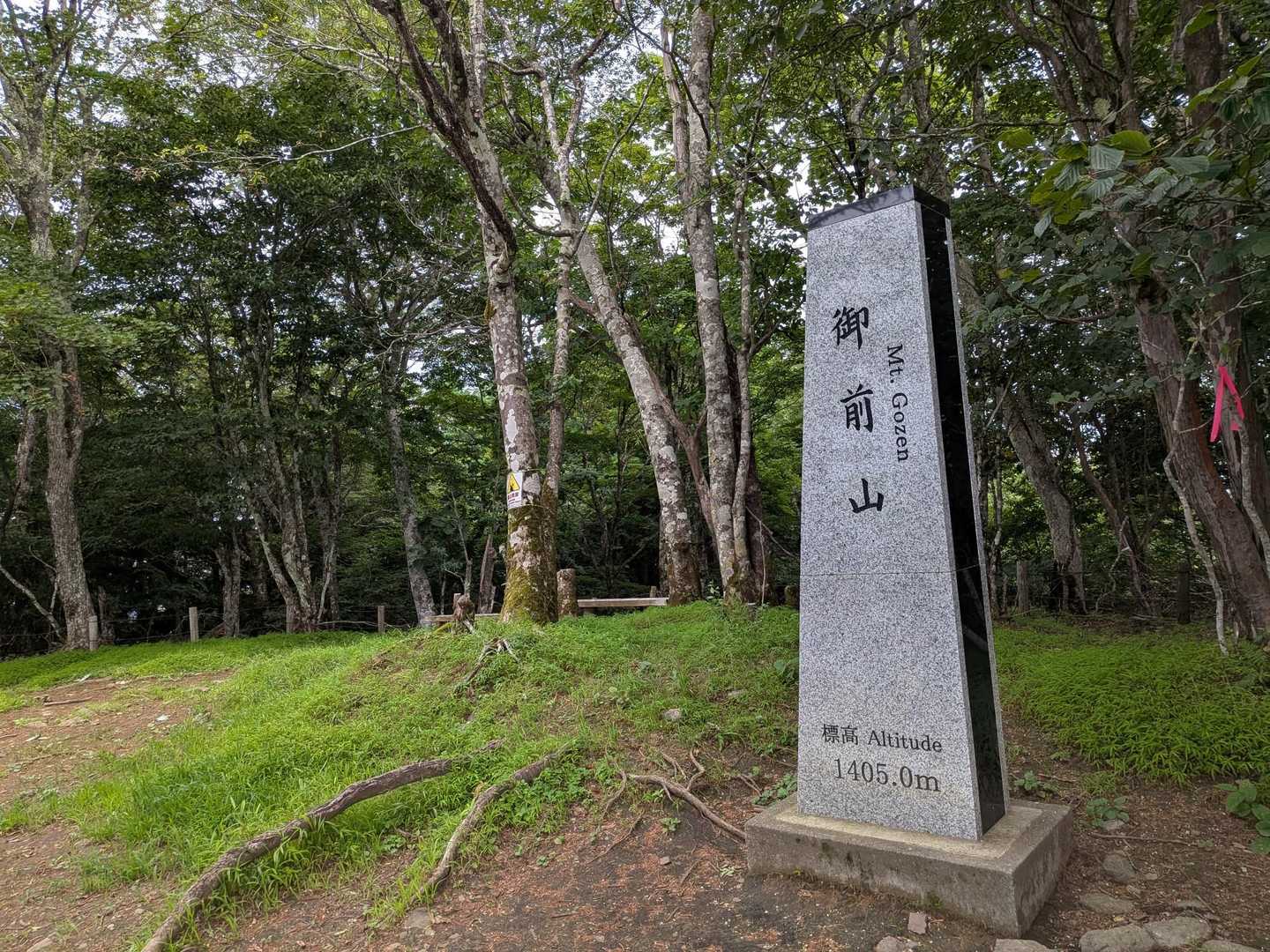 奥多摩湖バス停-指沢山-惣岳山-御前山 往復コースの写真