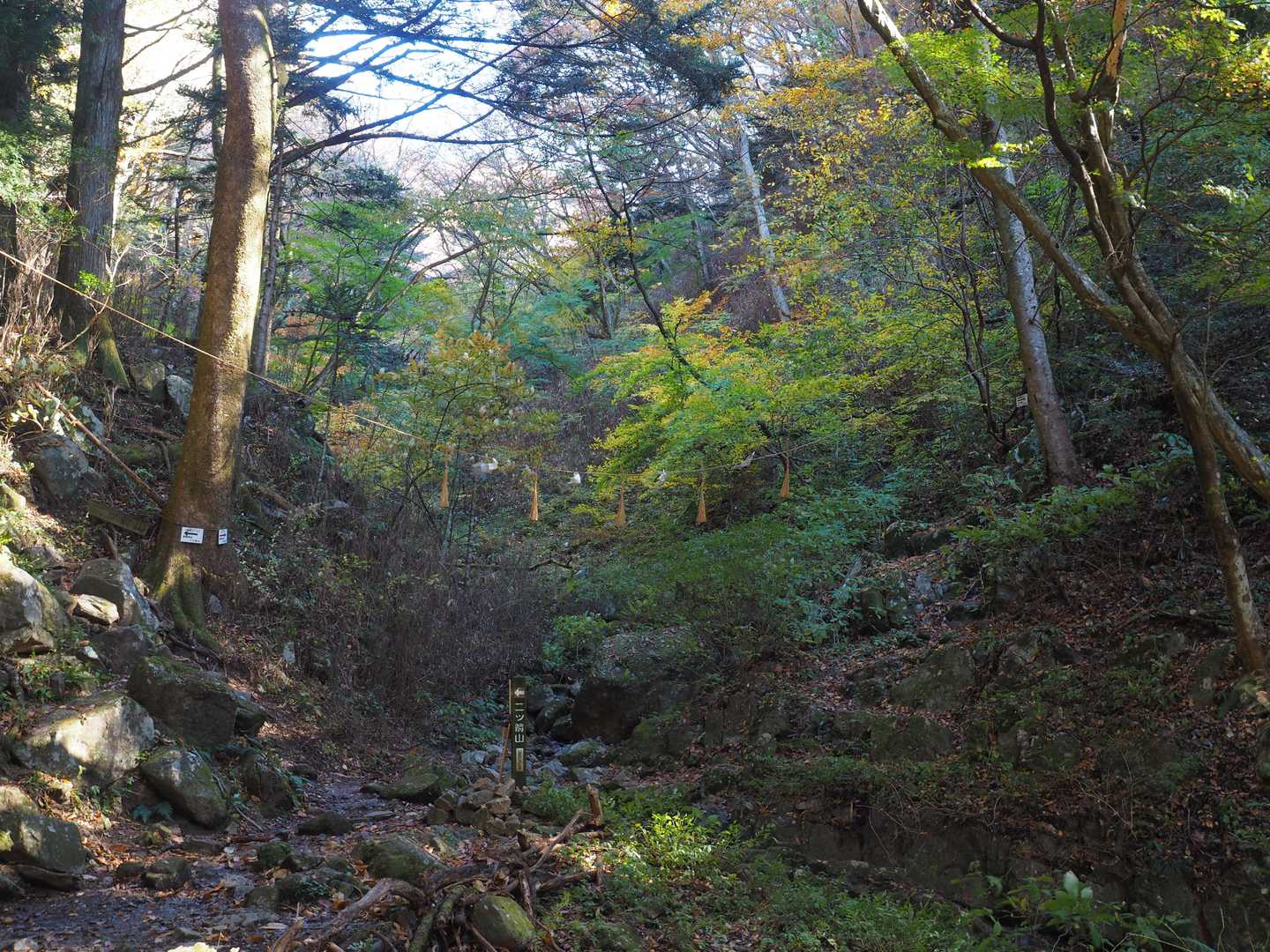 〆張り場
　注連縄大丈夫
　　チョット神聖・・思わず手を合わせる