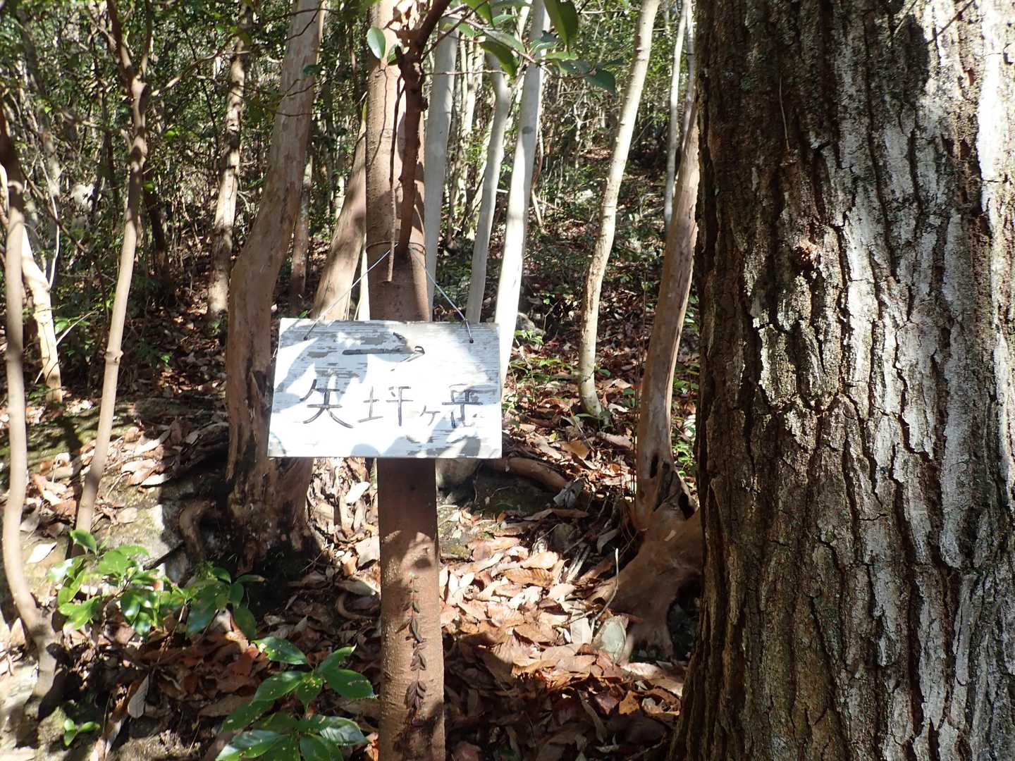 案内標識多い