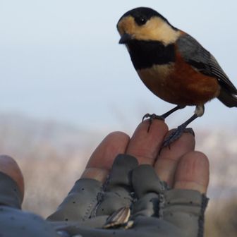 ひょっとして、俺のこと見つめてる？