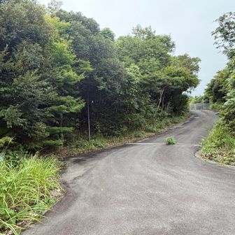 これより先は株式会社TOYAMAの敷地なので入れず、丸山のピークは踏めず。
100mルールでピークゲットできたので良し。
なお、この一帯は企業の敷地らしく、ショートカット薮道使わないと夕方（17:30？）でゲート閉まります。