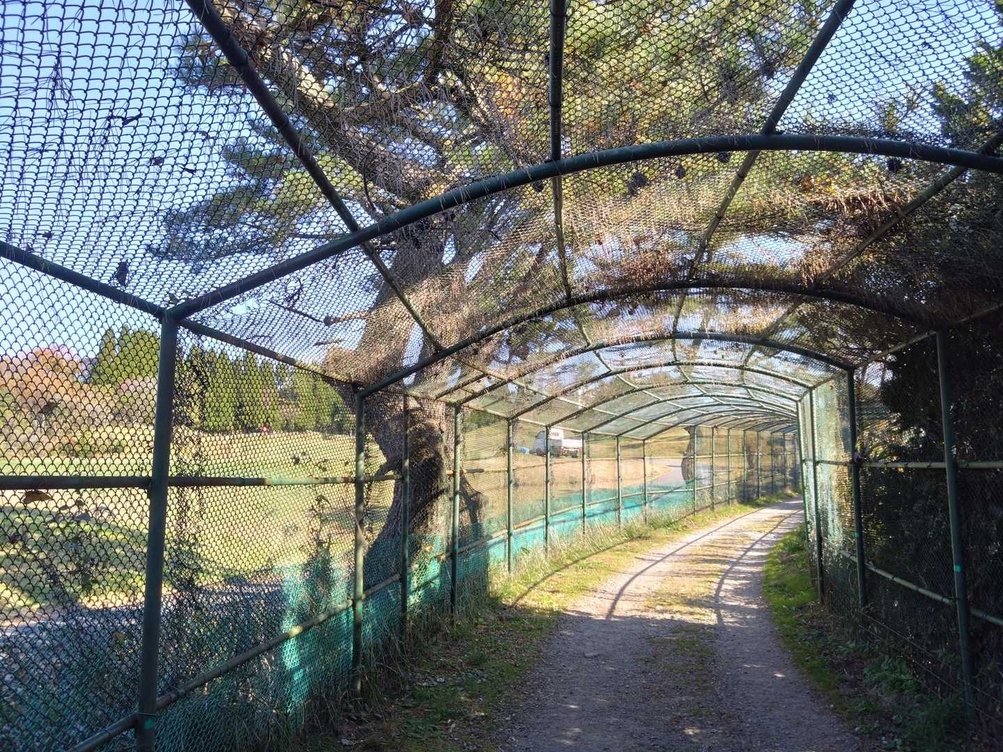有馬温泉駅-落葉山-灰形山-湯槽谷山-六甲ガーデンテラス- 縦走コースの写真