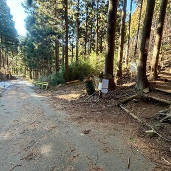 車道に降りて、道なりに歩いて和田峠へ