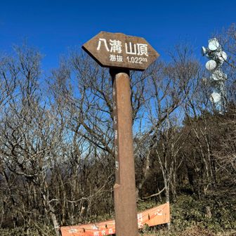 雪に埋もれた階段を10段も登れば頂上。