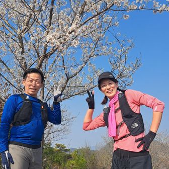 山頂に桜きれいやねー🌸
今年もパートナーは大会にエントリーしてくれたよ💪
去年はトレランデビューが大会ぶっつけ本番だったから今年は練習して挑むよ💪