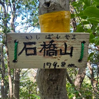15座目
今日の看板の写真はこれで終わり
この手前で１座、写真を撮るのを忘れた