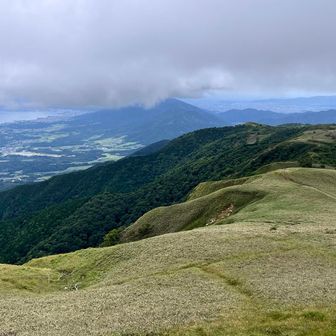 南の尾根筋、今日はここを往復