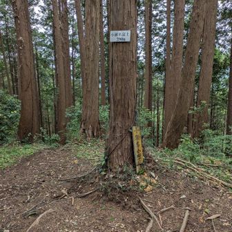 小瀬名富士　何もない