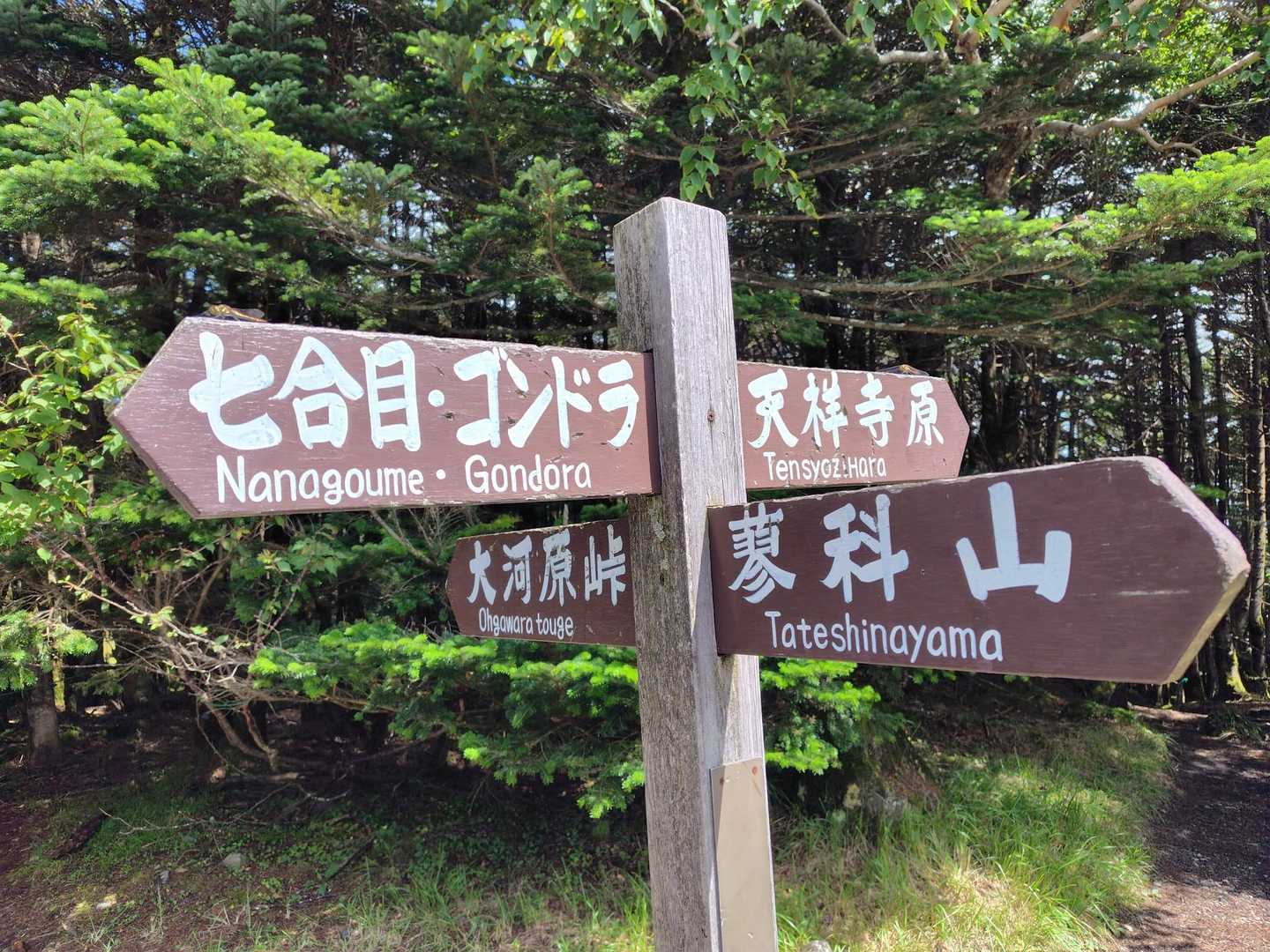 蓼科山荘は昔から四差路になっている交通の要所✨蓼科山頂↗️七合目御泉水方面↘️の他に深田久弥が親湯に下った際に経由したであろう天祥寺原方面↘️ともう一つ大河原峠方面↘️への分岐ポイントになっている💡