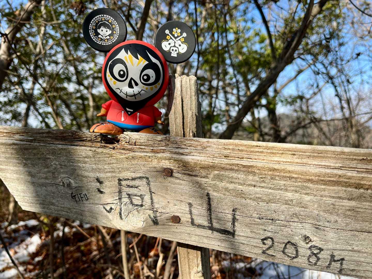 📸 洞山Peak 208m
ここは眺望ないのでサクッと移動🤣

あれっ⁉️…KakkoさんからLINE📲入ってる😳鷹巣山🦅にこれから登られるようです‼️ちと、ペース上げてノイゴンにGO =≡Σ((( つ•̀ω•́)つ