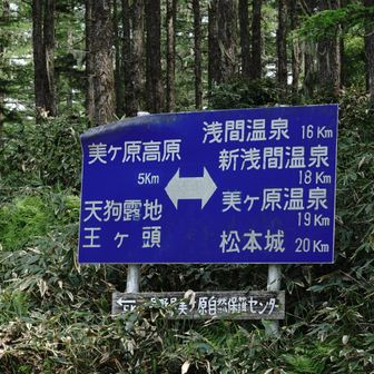 武石峠の大きな標識に戻りました