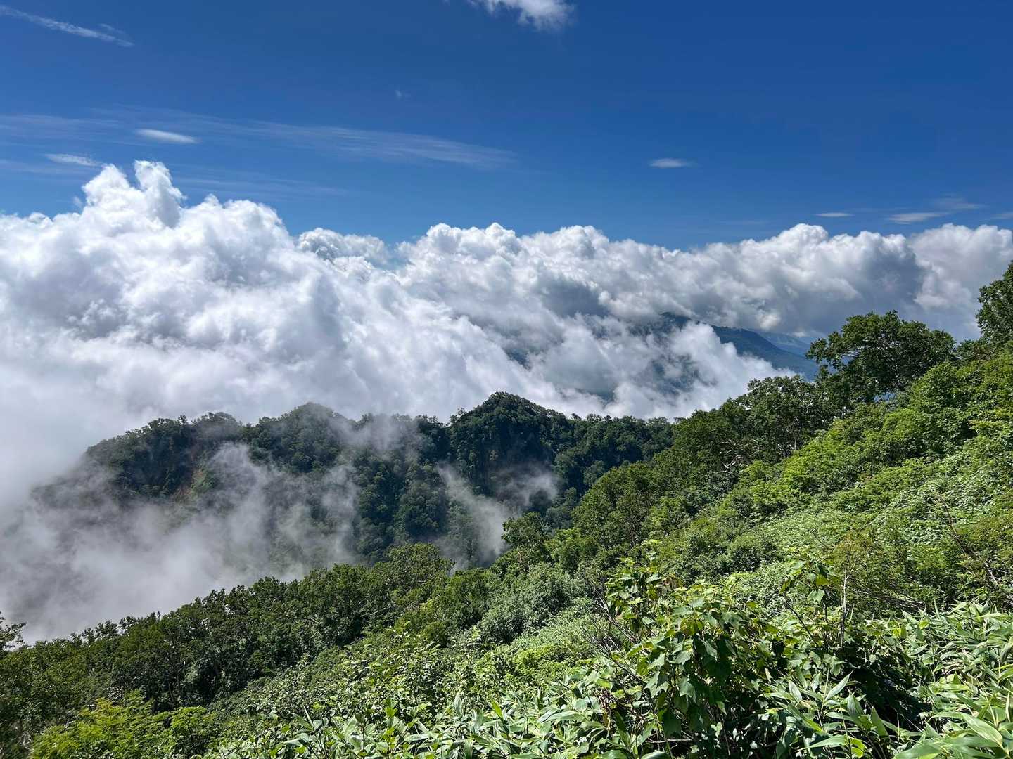 燕温泉-天狗堂-妙高山-長助池 周回コースの写真