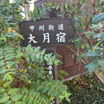 ③