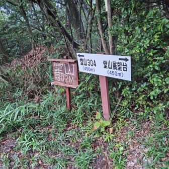 302こと堂山に到着