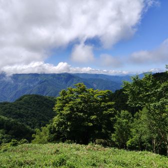 御池山の山頂