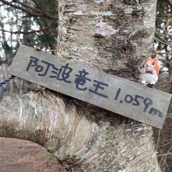 あっという間にピークへ、、
標高自体が高いため寒風強め