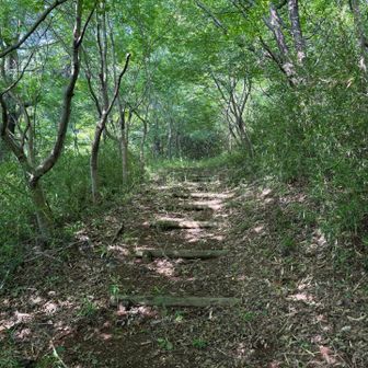 こちらも中山と同様にやや草が多い箇所もありましたが、まだ登れるレベル