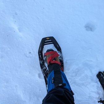 装着してスタート