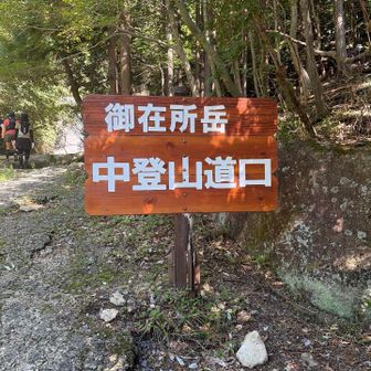 中登山道口まで歩きました。長いかなぁーと思いましたがあっという間。