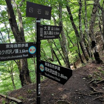 白石峠から下山開始。