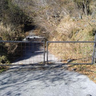 両サイドは有刺鉄線があるので、この柵を乗り越えて行きます。