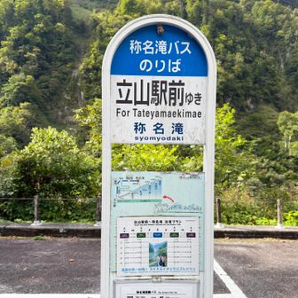 10:00発🚌15分で立山駅。🚃乗り換えて電鉄富山駅へ

今回も最後までご覧いただき、ありがとうございました😊