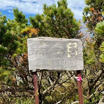 五合目
ここまで来たら8割クリア