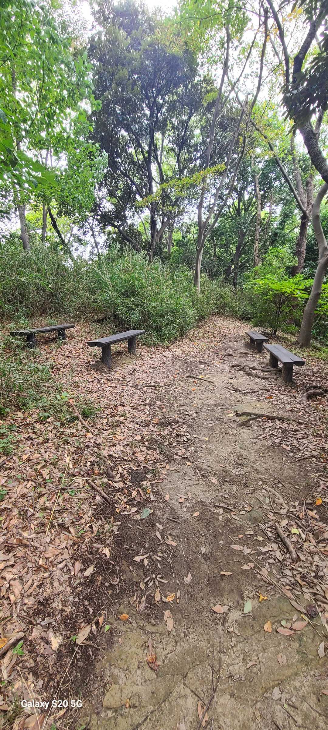 所々にベンチがあります