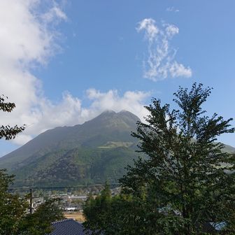 ｼﾞｭﾝﾊﾟﾁ