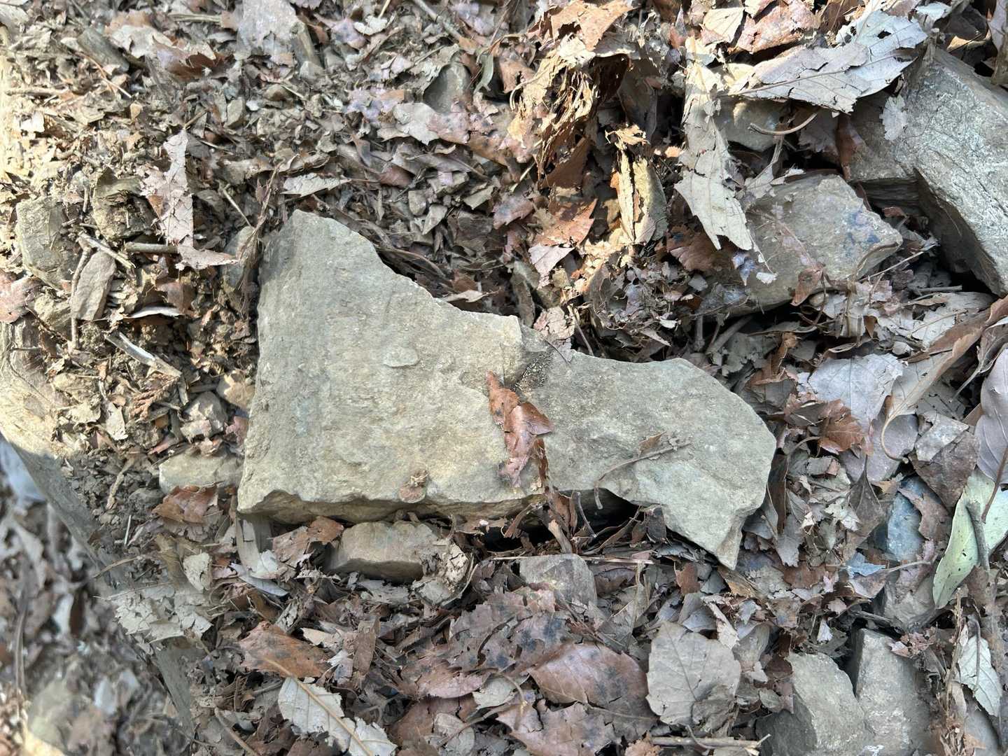 チビ曰く
石の形が茨城県。

※横にして見てください笑。