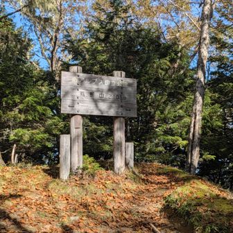 鳳凰小屋をあとにして下山
燕頭山までかなりのアップダウンあり、激下り後にかなりの登り返し💦