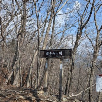 根本山山頂到着🎊

山頂からの眺望はありませんでした
安定の尾根道のようなので熊鷹山まで足を延ばす事にします🎊