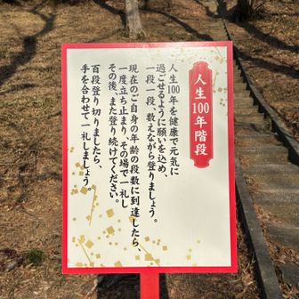 こちらから下りてしまったので手を合わせて一礼しました🙏