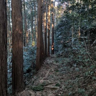 ここから先突然の荒れた道。昨日の爆風のせいかな、、