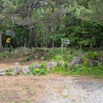 正規の入り口は駐車場奥っぽい