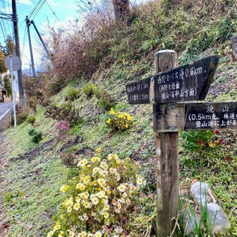 焼山に向かってgo!