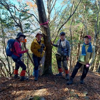 890mの彦見岳山頂。眺望はないので