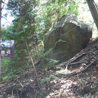 葛城修験エリアマップ（二上山周辺） 人面石　標識訂正すれば？　ゴリラ石だ！