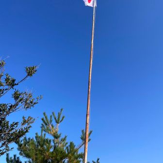 ちょこっとソヨソヨ、スマホむけたら日の丸がこっちむいてくれました👍